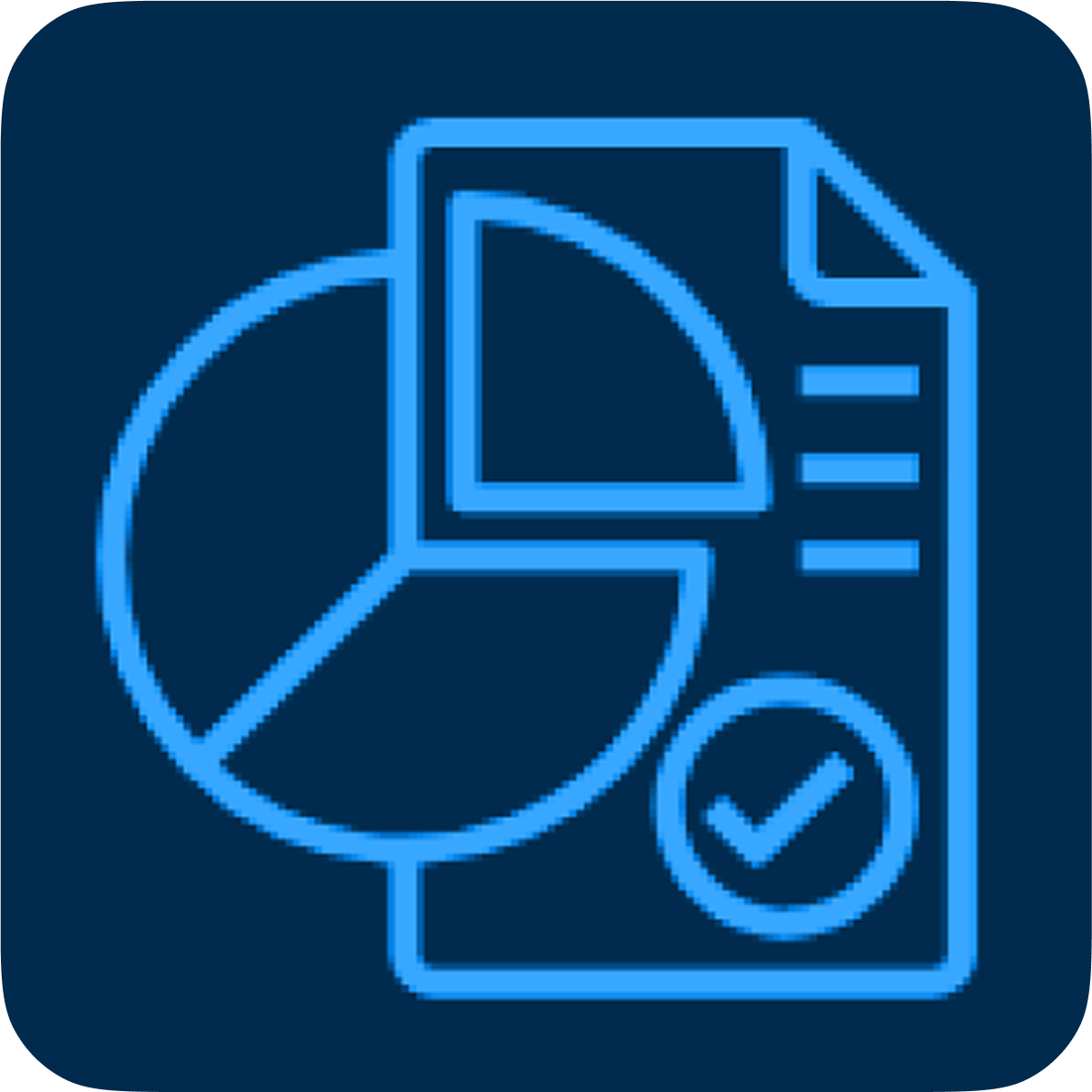 Report Icon